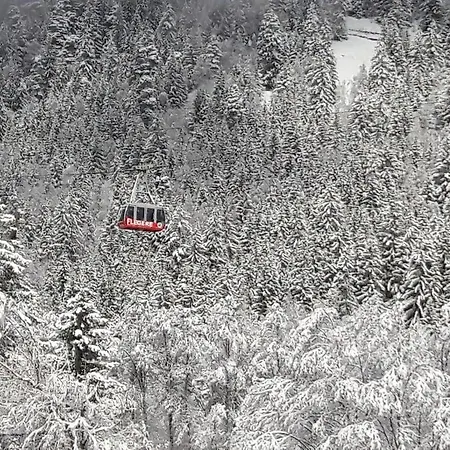 Le Labrador Hotel Chamonix