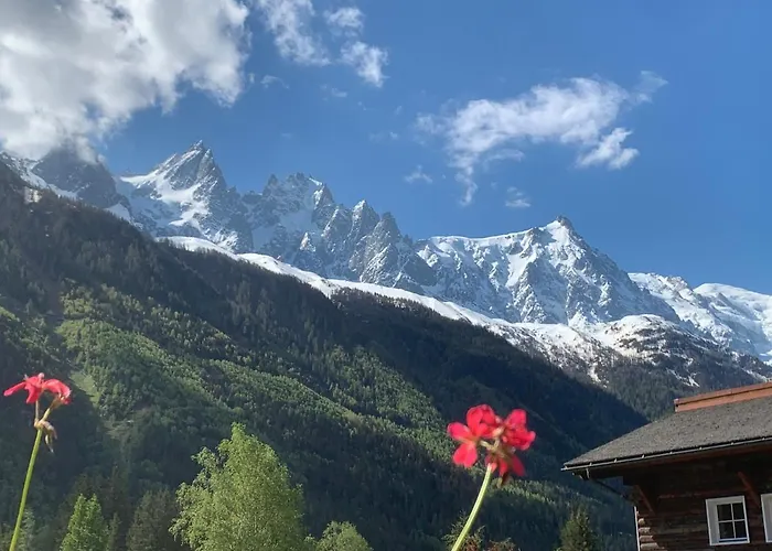 Le Labrador 3* Шамони