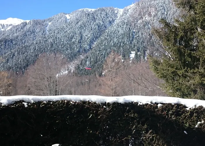 オテル ル ラブラドール 3* シャモニー