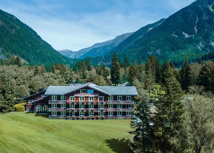 Le Labrador Шамони